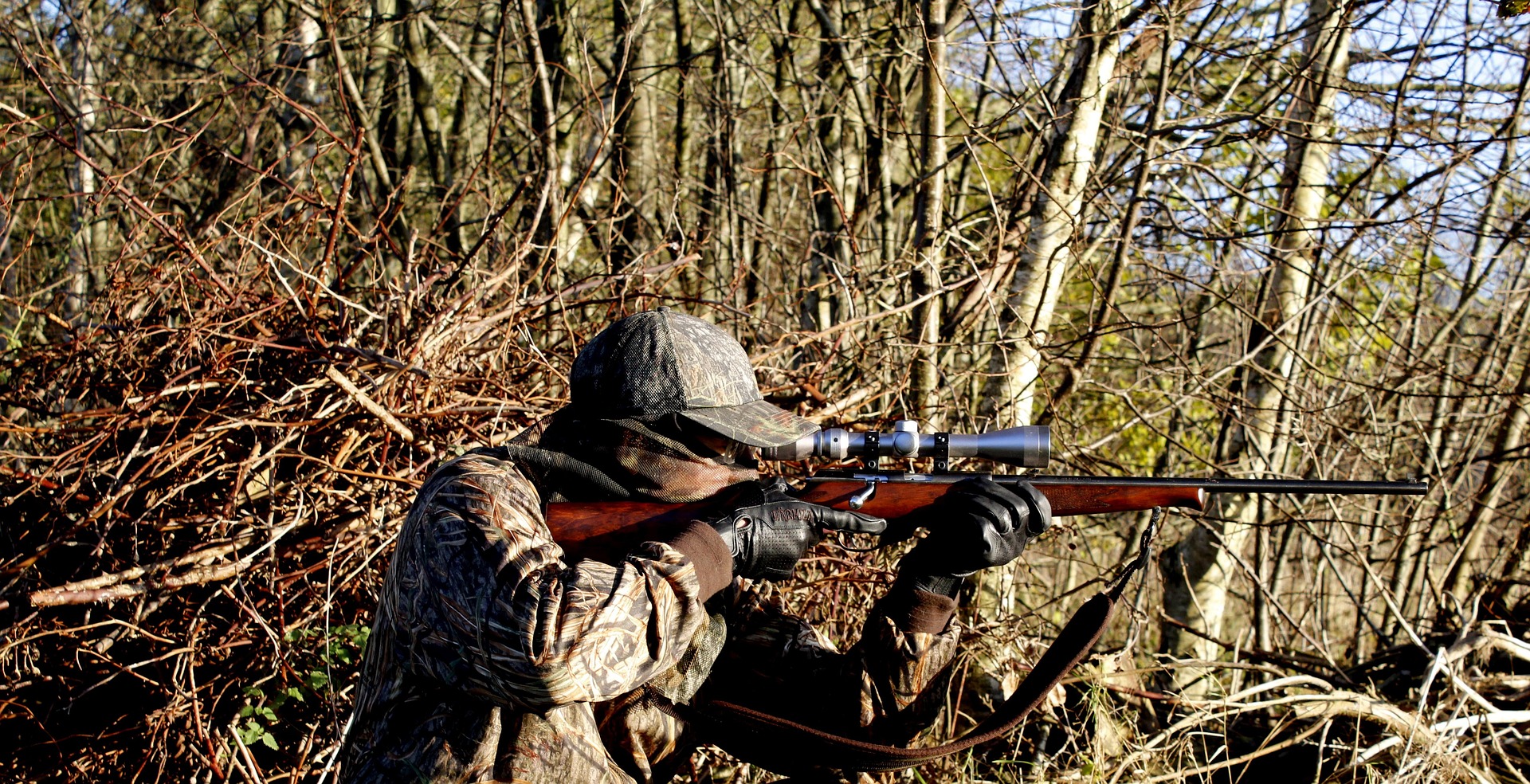 Online Hunting Auctions